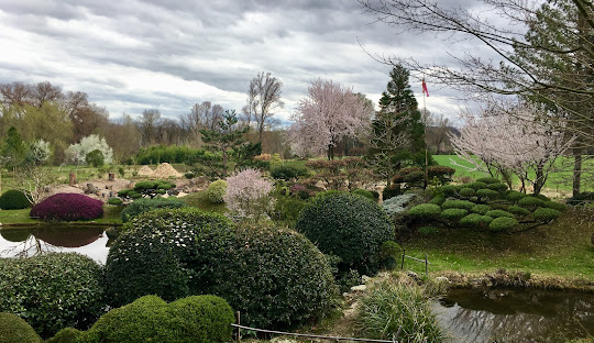 Sortie au jardin Zen d'Erik Borja du samedi 5 octobre 2024 - Affiche de l'article